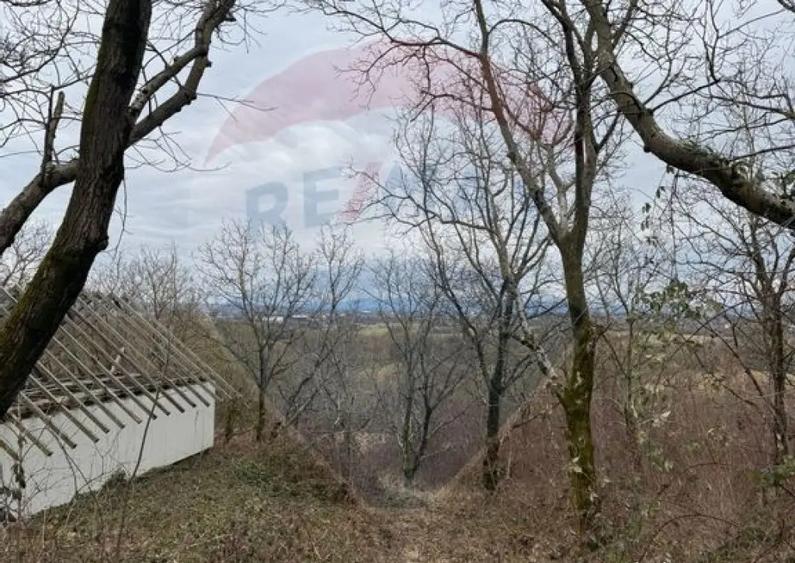 DE VANZARE Teren Strada Victoriei Baia Mare - 11