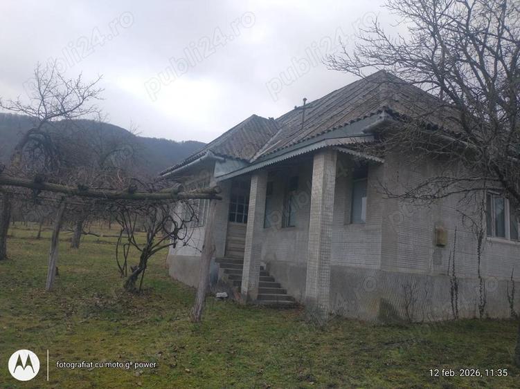 Copalnic Manastiur ,casa cu gaz+curent bransat si 10 ari gradina - 2