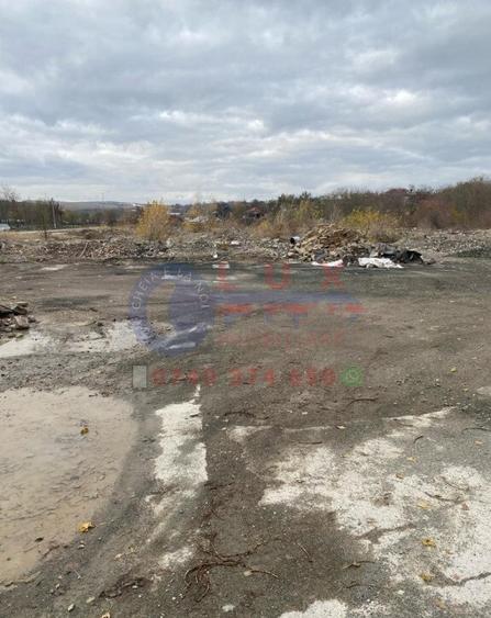 ID 7743 Teren INTRAVILAN pe E87 - ISACCEA - 3