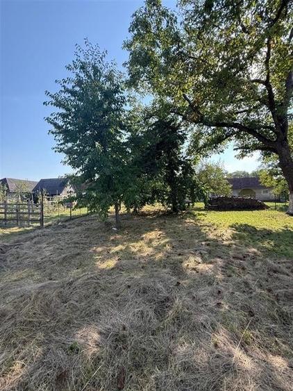 RECO . Casa in Saliste de Vascau . - 9