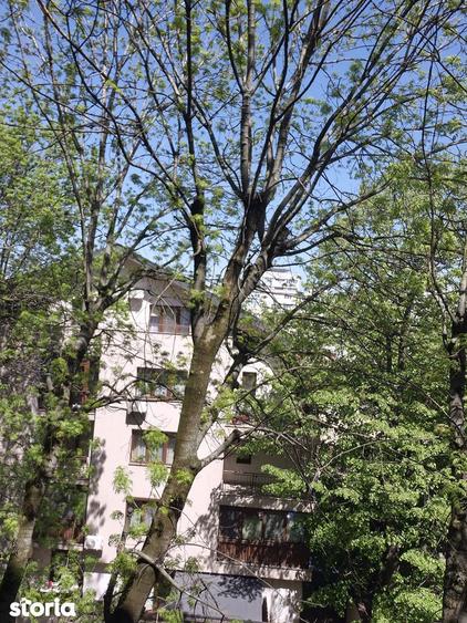 2Camere Grivita - 15