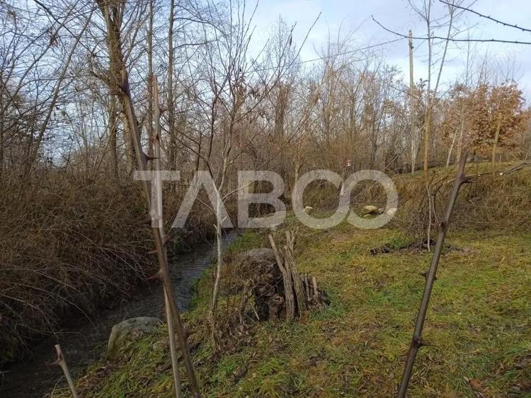 Teren intravilan 8000 mp cu anexa gospodareasca in Vistisoara - 6