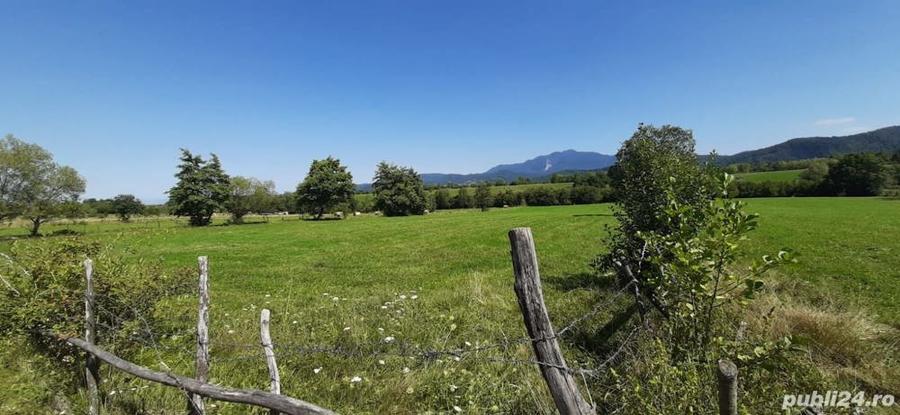 Teren 9350 mp Bran Livada, Extravilan - 3