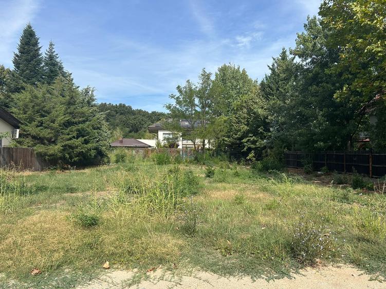 Teren in vecinatatea padurii, toate utilitatile , acces asfaltat - 5