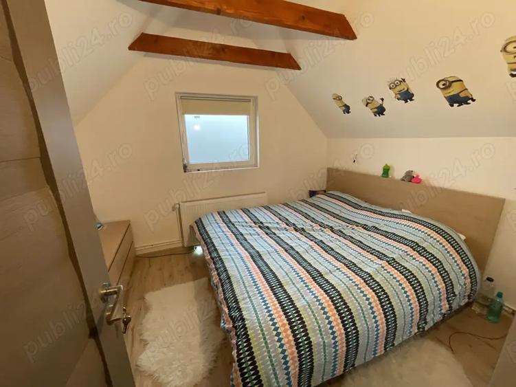 Vand cabana la Belis - 9