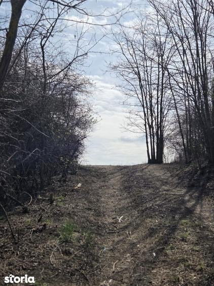 Teren de vanzare Pata Cluj - 6