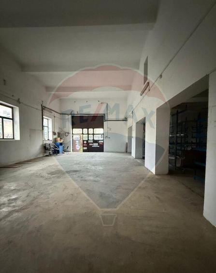 Hala - zona KAUFLAND Burdujeni - 3