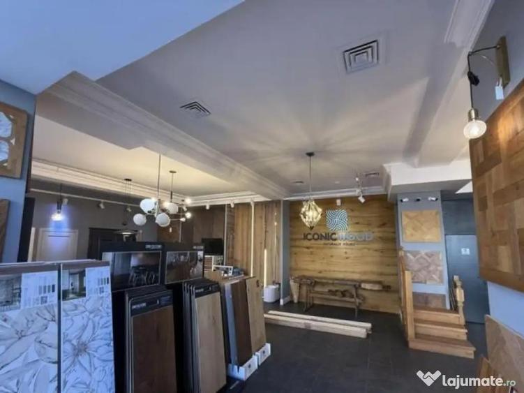 Spatiu comercial Titulescu Banu Manta 260 mp - 4