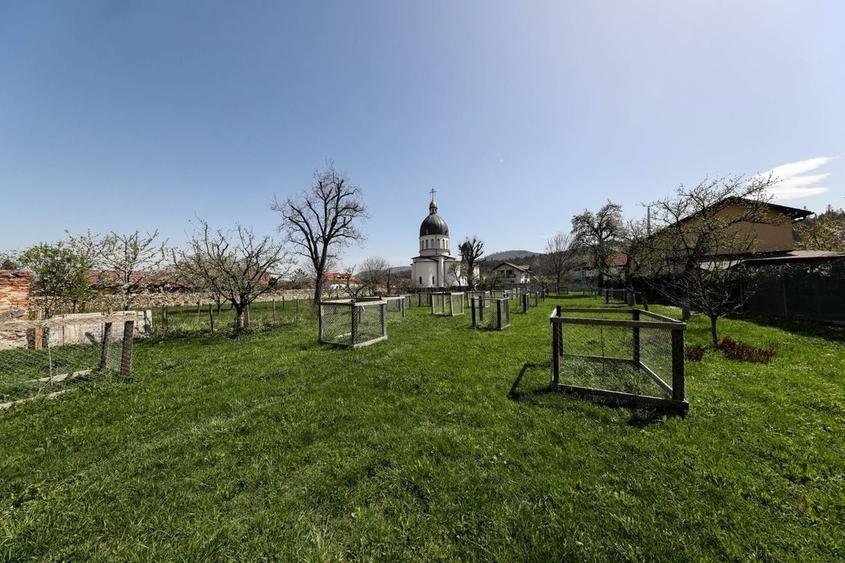 Casă Săsească Autentică cu Șură Impresionantă în Cristian – Teren 2729mp - 12