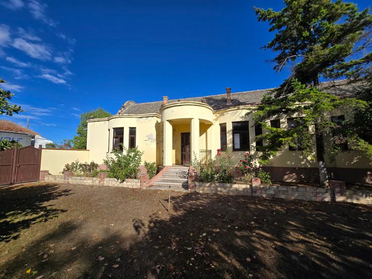 Cenad-Ultracentral-2 fronturi- Casa cu ahitectura deosebita - 6