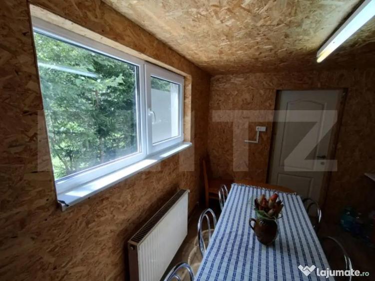 Cabana 4 camere Lunca Bradului - 11