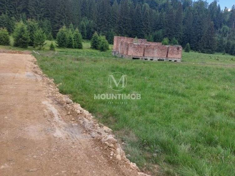 Teren intravilan în Poiana Brașov, 0% COMISION - 7