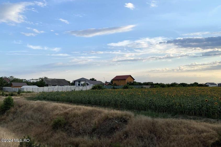 Tamasi, langa padure, 12.824 mp, deschidere 45 ml, teren cu potential! - 2