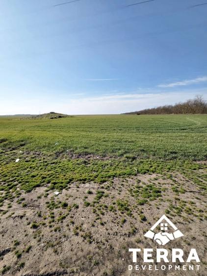 Investiție pe litoral – loturi de teren la intrarea în Costinești - 5