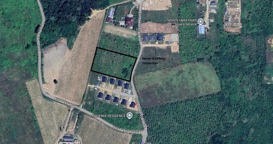 Visan str Dealul Craitelor TEREN 6383mp  si 4217mp utilitati  si transport in co - 10