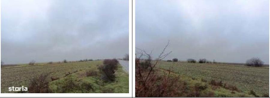 Teren extravilan cota parte 1/5 Murfatlar, ID: R2982571 - 2