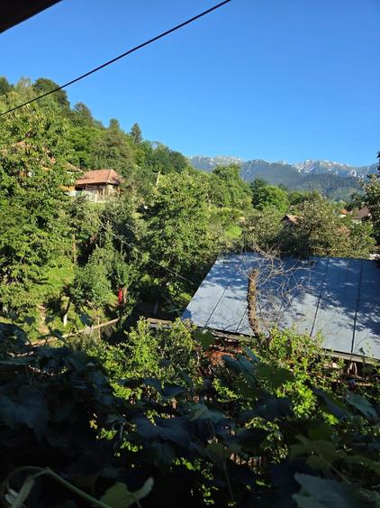 Casa 7 camere -230 mp+ teren 3800mp Bran- Brasov, potential de crestere valorica - 7