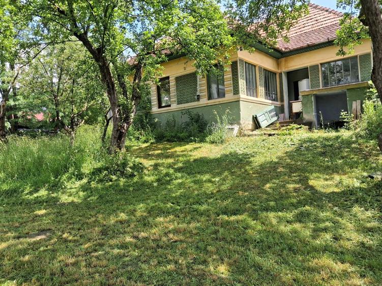 Casa la tara , curte/gradina 3450 m2 - 4