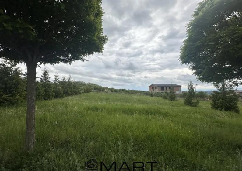 Teren intravilan 633mp cu utilitati si PUZ in Cartier Bavari - 1