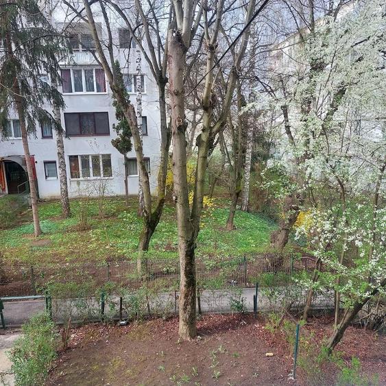 Vand apartament, semidecomandat, 2 camare,etaj 1, Manastur, Aleea Peana - 4
