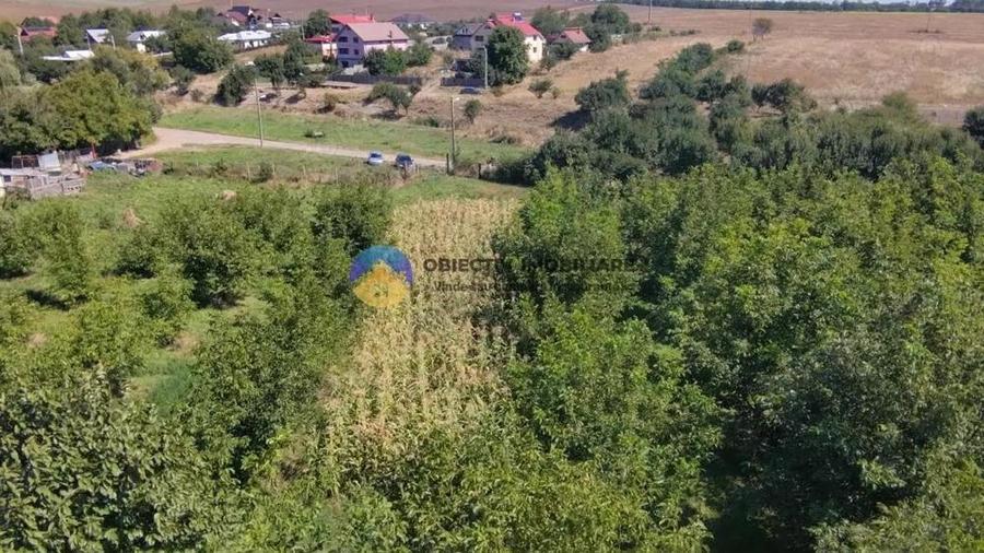 Teren de vanzare 1935 mp Piatra Neam? - Str. Plantelor - 1