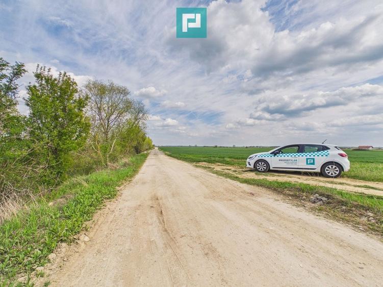 Teren agricol extravilan de 6150 mp, în Giroc