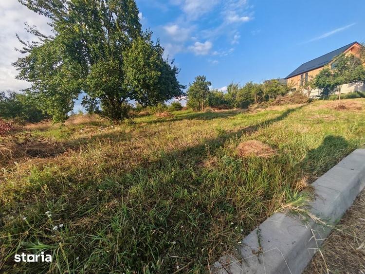 Teren de 1600 mp, în Central