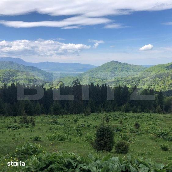 De vanzare, teren intravilan 5.500mp, Predeal - 8