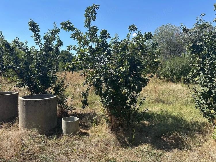 Casă cu Teren 1700 Mp în Salcia