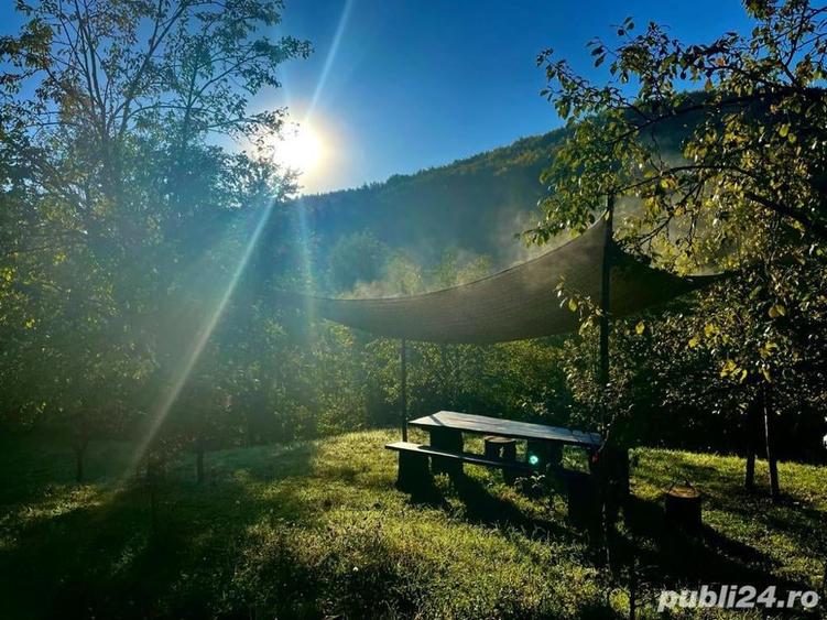 Teren de 9104 mp, în Brebu