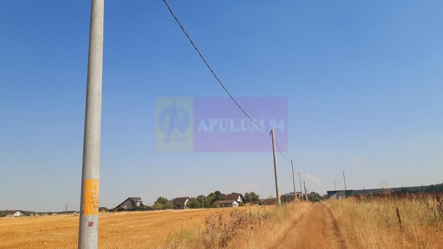 Teren Construcții intravilan de 2000 mp, în Brănești