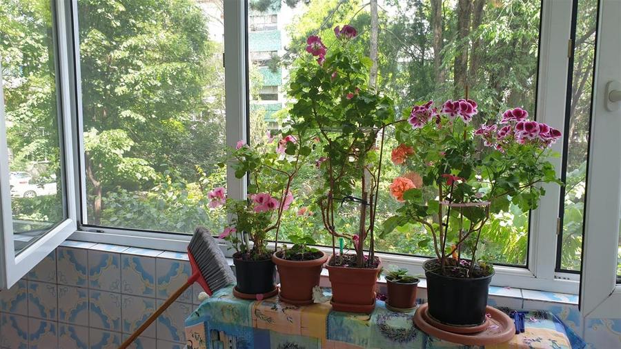 Apartament cu 2 camere semidecomandat în Hipodrom