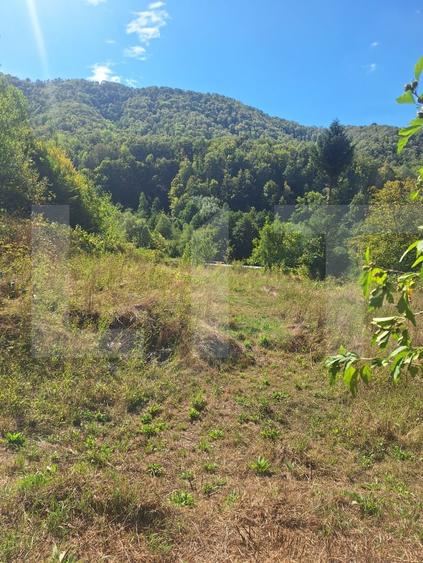 Teren Construcții extravilan de 4847 mp, în Nădrag