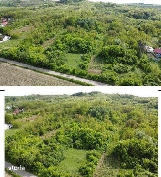 Teren de 4740 mp, în Bălteni