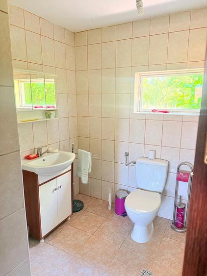Vand casa, teren si padure in comuna Danicei, judetul Valcea - 8
