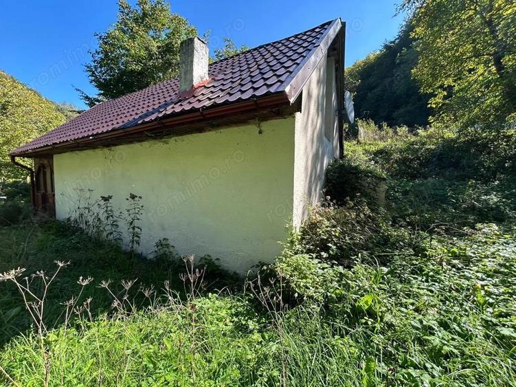 Cabana de vanzare, Valea Manastirii - Ramet - 9