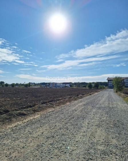 Snagov- Ciofliceni, loturi de casa intre 504-670mp, ?erba