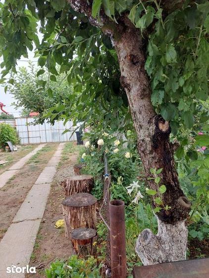 Vand casa de locuit si teren 4000 mp - 1