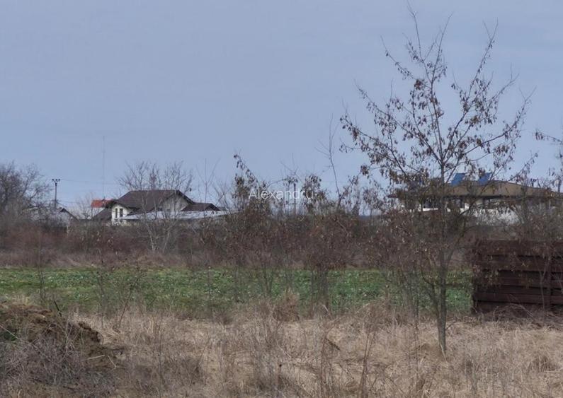 Teren intravilan ieftin Balotesti, 1100 mp, 25000 euro