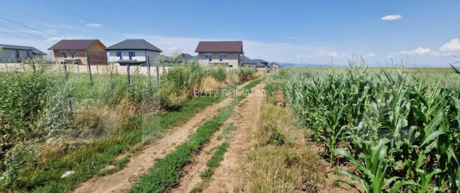 ???? Teren extravilan de vanzare Izvor, Tarlungeni