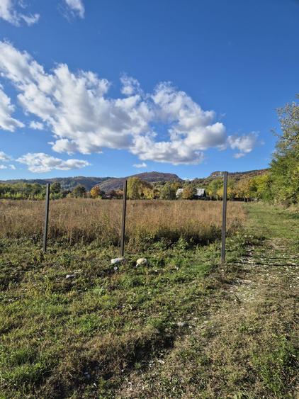 Teren de Vanzare, intravilant - 6