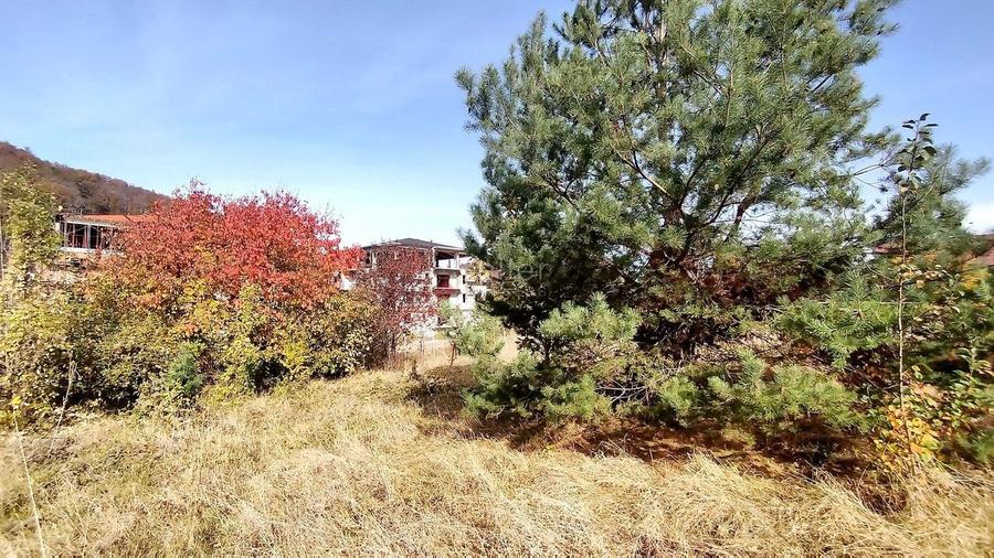 Teren Intravilan Bunloc - 4