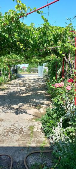 Vand casa in com .Gradina jud Constanta - 7