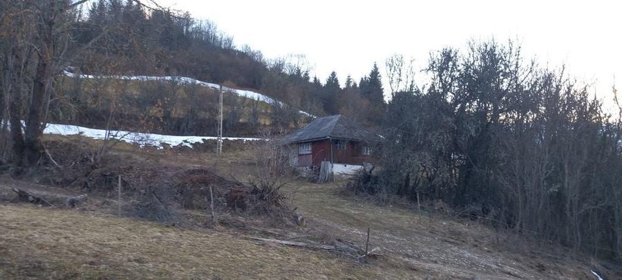 Casa de vanzare muntii apuseni - 5