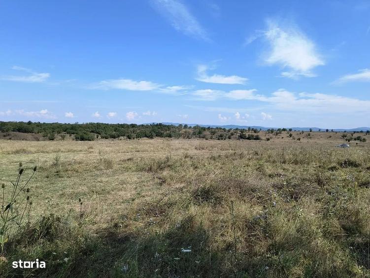 Închiriez teren intravilan - 1