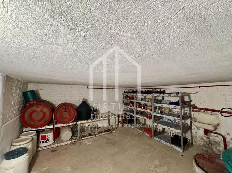 Casa individuala cu teren de 820mp, 3 camere, pivnita, pod, Turnisor - 29