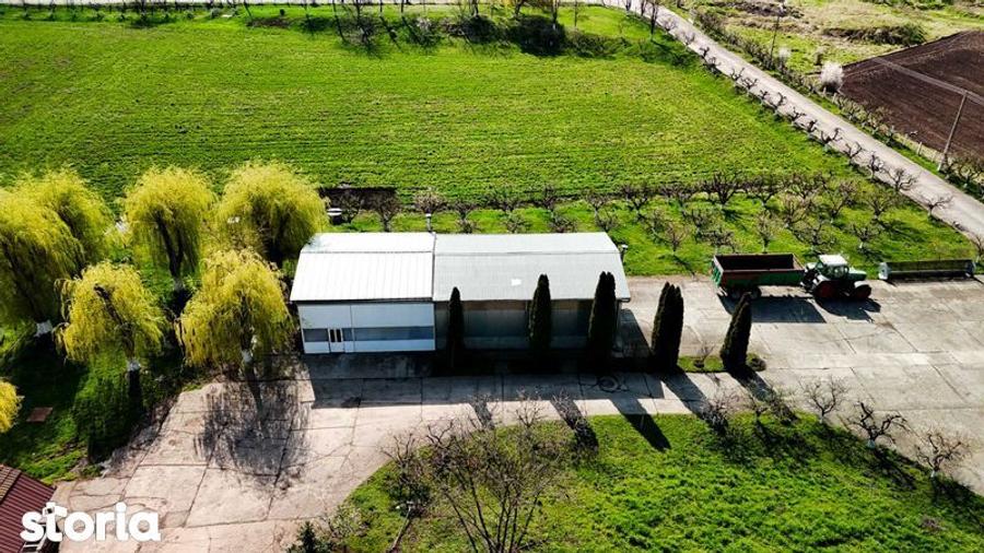 SE VINDE SAU SE INCHIRIAZA teren cu constructii Ludus - 3