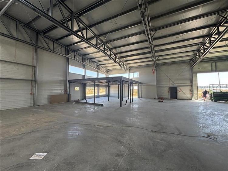 Vanzare depozit/hala/spatiu industrial Mogosoaia - Buftea - 4