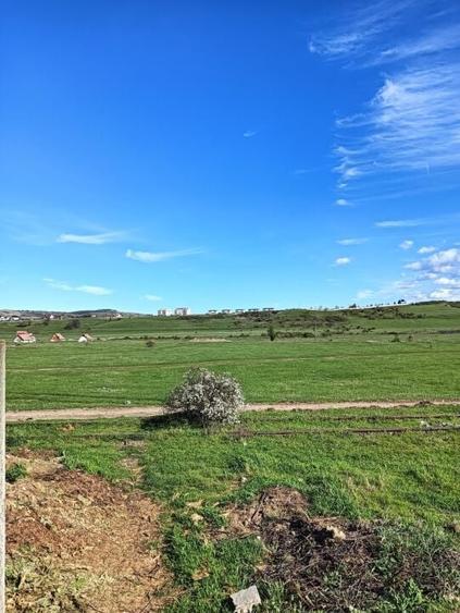 Vand teren intravilan 3000 mp in Sebes, jud Alba - 1