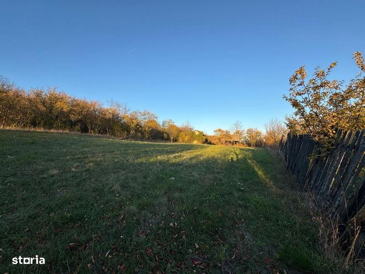 Teren intravilan 3323 Husasau de Cris - 2